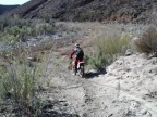 Rowdy Ride Route