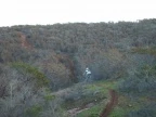 Woods Trail